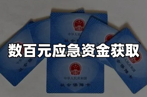 数百元应急资金获取