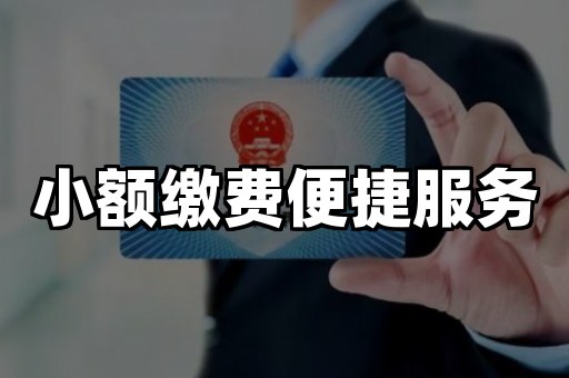 小额缴费便捷服务